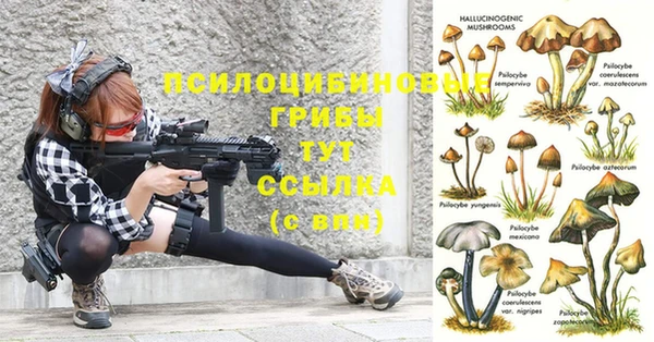 эйфоретик Белокуриха
