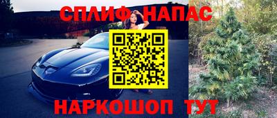 jwh Моздок