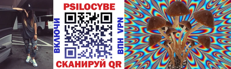 Галлюциногенные грибы Psilocybe  Великий Устюг 