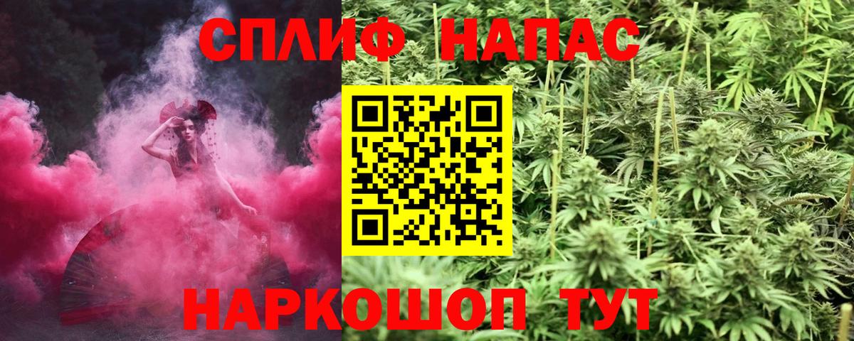 Конопля AK-47  Каннабис конопля  Вход с VPN  Каннабис MAZAR  Канабис Ganja  Великий Устюг 